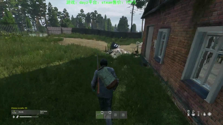 dayz (hardcore极限生存） 2020-08-23 16点场