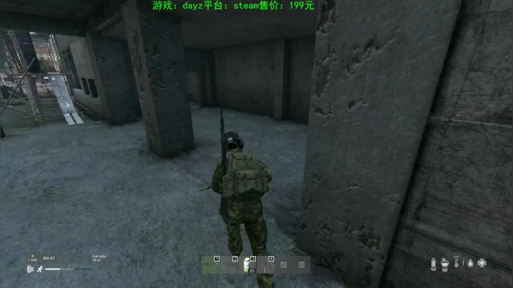 dayz (hardcore极限生存） 2020-08-24 19点场
