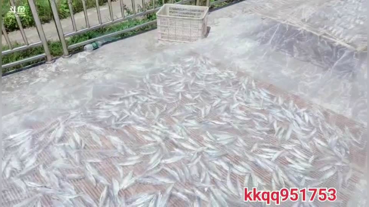 回高老庄啦 2020-08-24 11点场