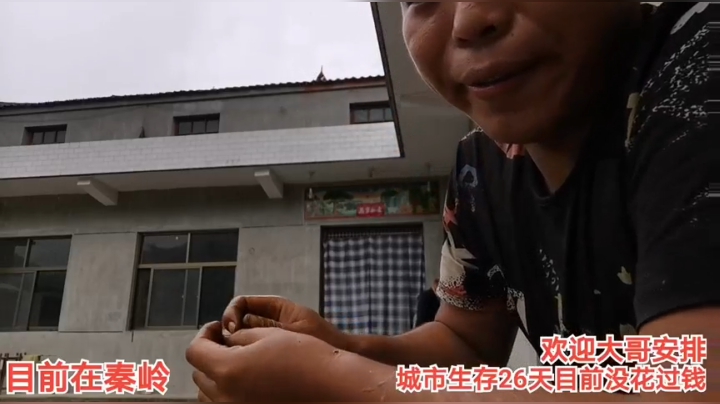 8.23找个窝避避雨