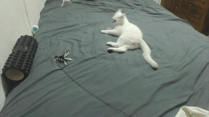 【陈子敬】播播播 2020-08-24 23点场