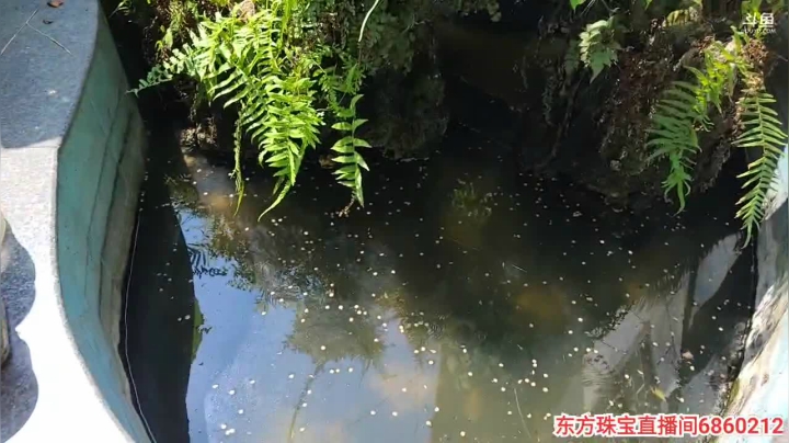 万州之子。25号，处理事情晚点开播 2020-08-25 13点场