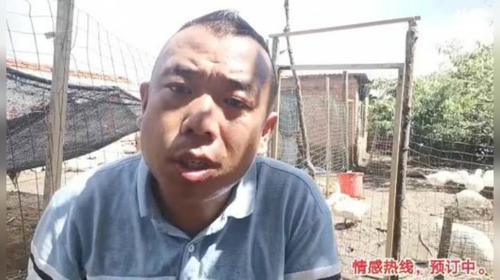 我在斗鱼看主播小黑亮亮直播户外