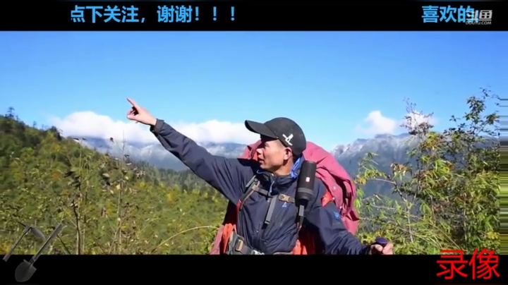 万州之子。万达寻宝 2020-08-25 01点场