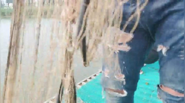 我本善良72发布了一个斗鱼视频2020-08-25