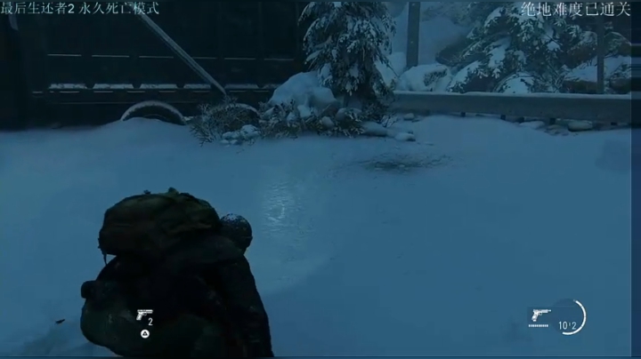 ［小V游戏厅］TLOU2一命通关难度 2020-08-19 14点场