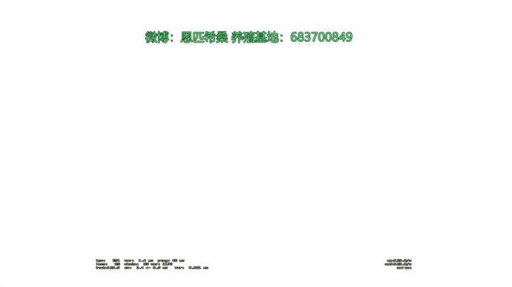 金色传说的直播间 2020-08-26 20点场