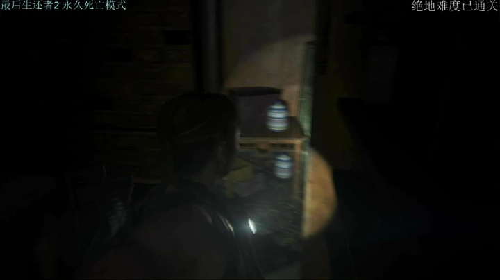 ［小V游戏厅］TLOU2一命通关 2020-08-20 15点场