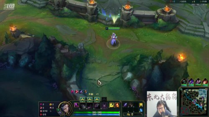 我在斗鱼看东北大鹌鹑直播英雄联盟