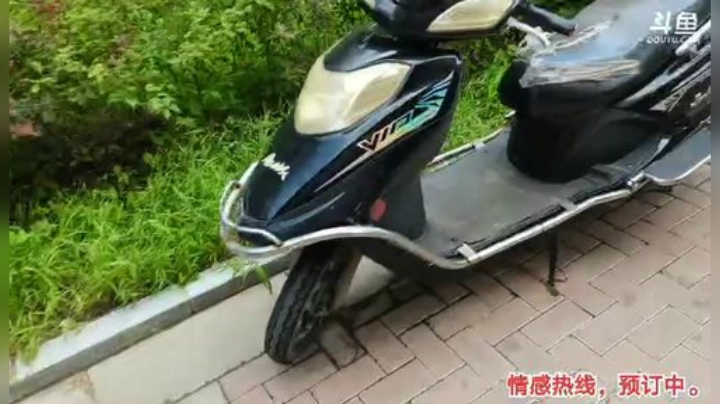 我在斗鱼看主播小黑亮亮直播户外