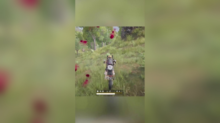 第一次参加solo赛