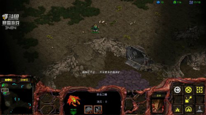 我在斗鱼看scboy直播星际争霸