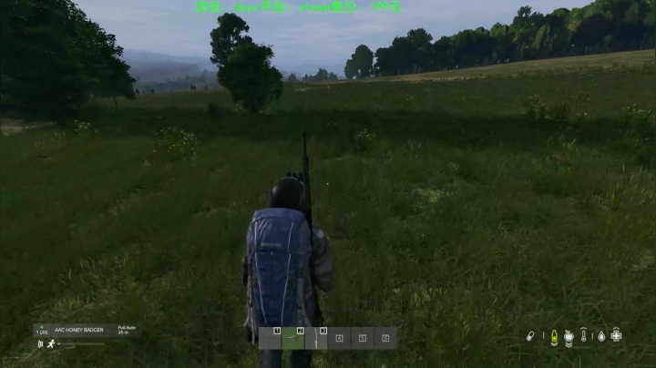 dayz (hardcore极限生存） 2020-08-28 14点场