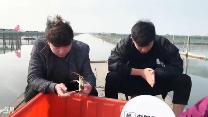 我在斗鱼看二更直播趣生活
