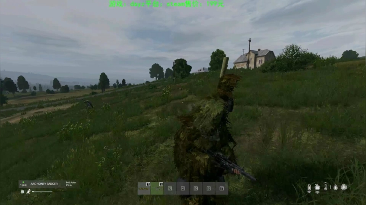 dayz (hardcore极限生存） 2020-08-29 17点场