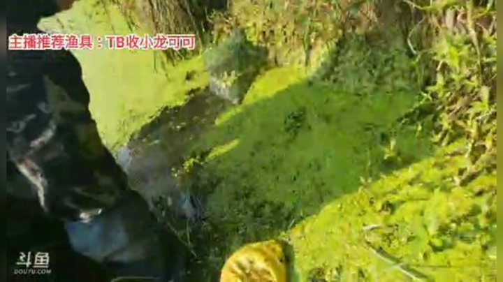 十一郎君01发布了一个斗鱼视频2020-08-30
