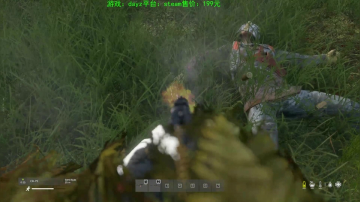dayz (hardcore极限生存） 2020-08-29 00点场