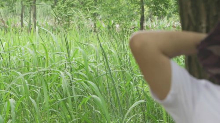 哆啦爱梦梦发布了一个斗鱼视频2020-08-30