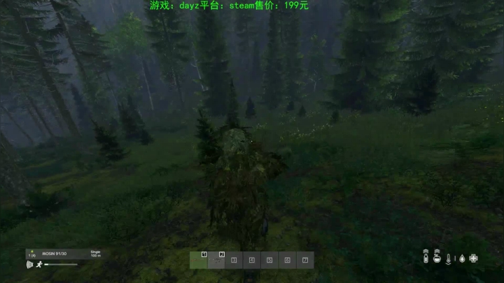 dayz (hardcore极限生存） 2020-08-29 19点场