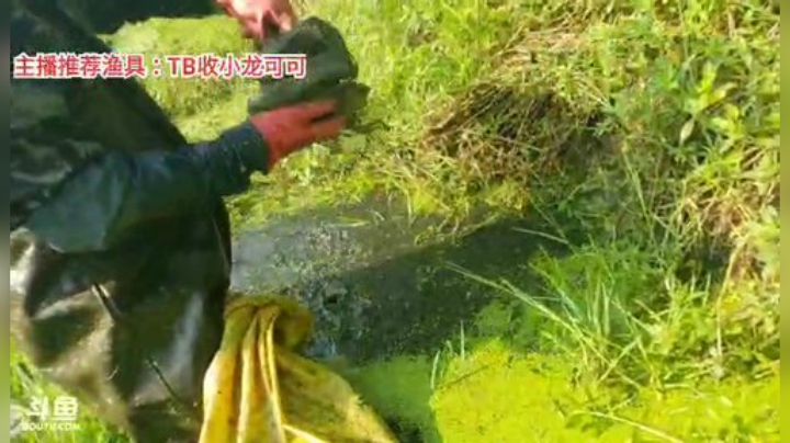 十一郎君01发布了一个斗鱼视频2020-08-30