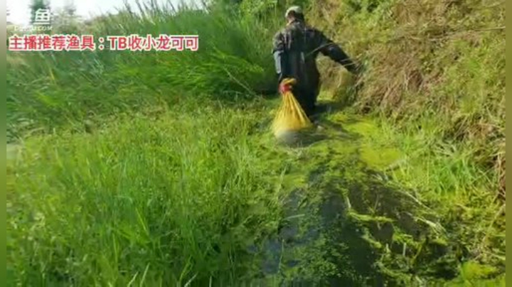 十一郎君01发布了一个斗鱼视频2020-08-30