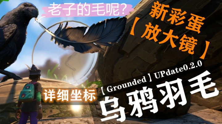 新彩蛋/乌鸦羽毛/详细位置/全网最详细保姆级解读第四期【Grounded】后院求生/禁闭求生/自制攻略/勿盗 2020.8.31