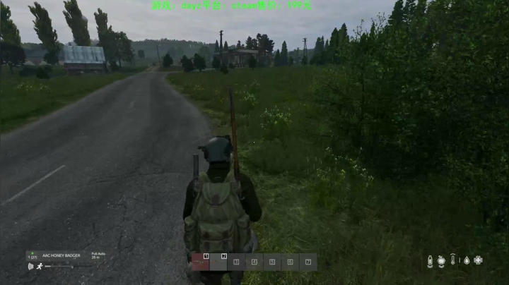dayz (hardcore极限生存） 2020-08-30 15点场