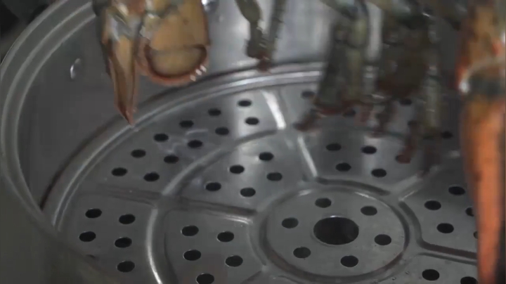 我在斗鱼看野食小哥直播美食