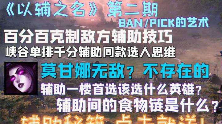 《辅助玩家必看的二十个视频》以辅之名第二期 看完马上就能变强的教学视频