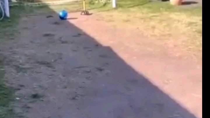 行云流水，一脚踢飞？