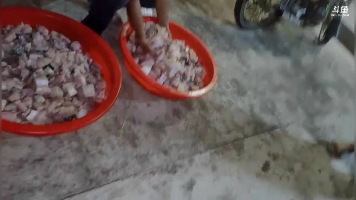 油炸草鱼鱼块 2020-09-02 19点场