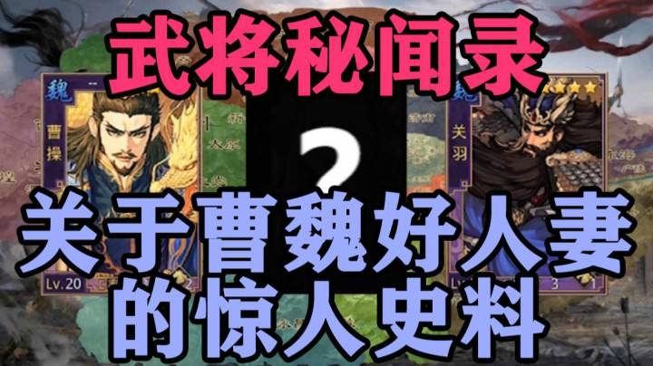 武将秘闻录-关于曹魏好人妻的惊人史实