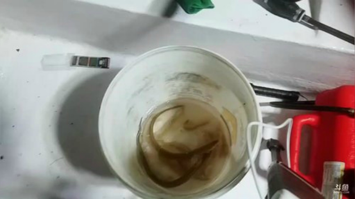 风吹过的痕迹丶发布了一个斗鱼视频2020-09-02