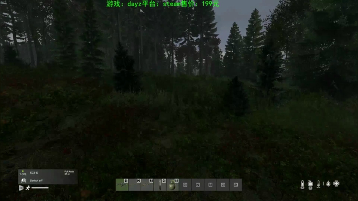 dayz (hardcore极限生存） 2020-09-01 23点场