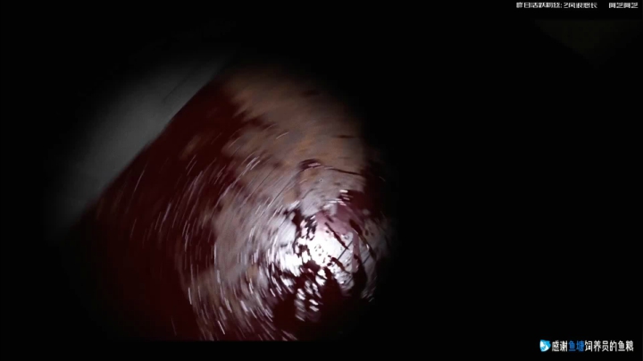 《讽刺梦魇》(Irony Of Nightmare)