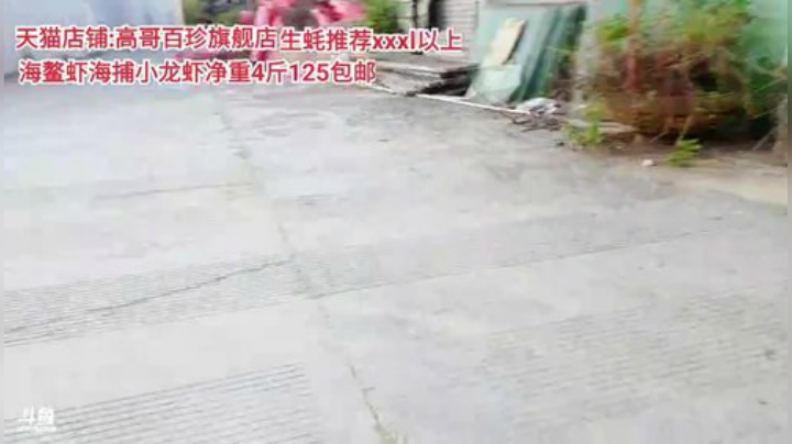 西北老狼哥哥发布了一个斗鱼视频2020-09-03