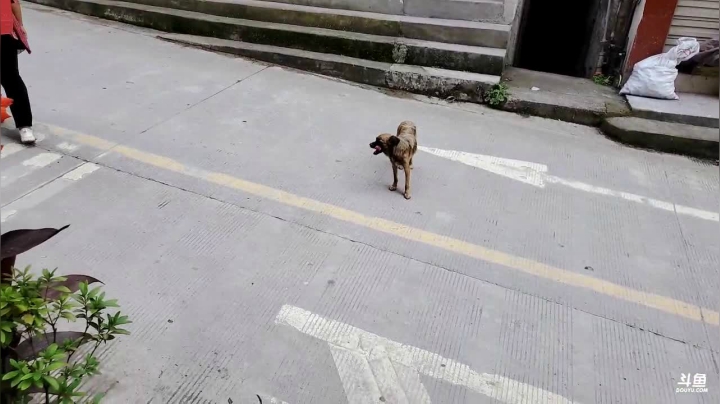 中午开播(≧ω≦)/ 2020-09-03 12点场