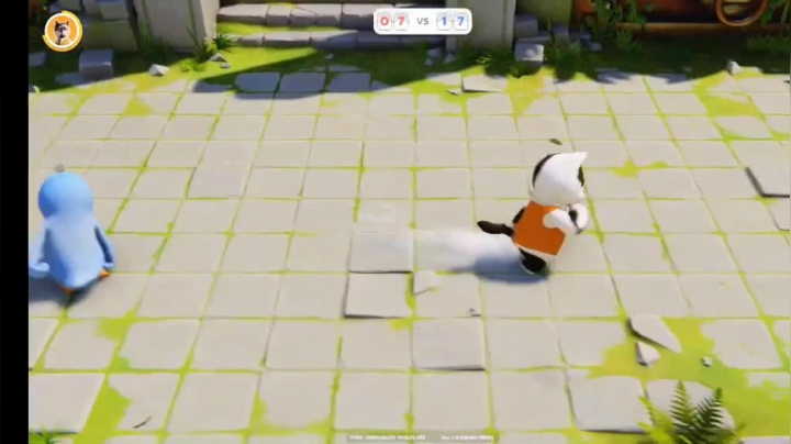 精彩锦集-