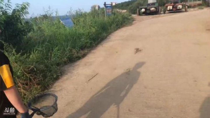 凯哥批评阿松吃鸟素质太低