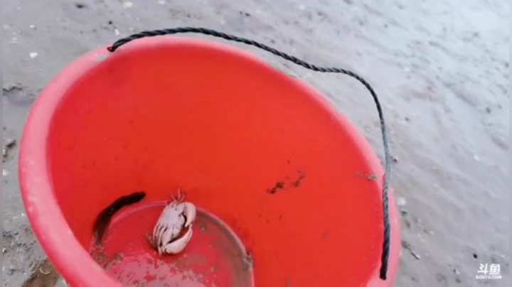 藤一的小幸运发布了一个斗鱼视频2020-09-05