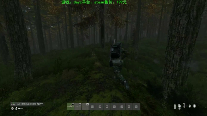 dayz (hardcore极限生存） 2020-09-05 18点场