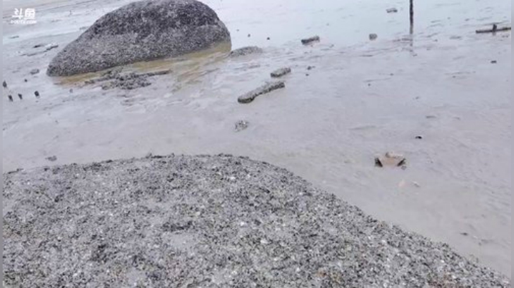 藤一的小幸运发布了一个斗鱼视频2020-09-05