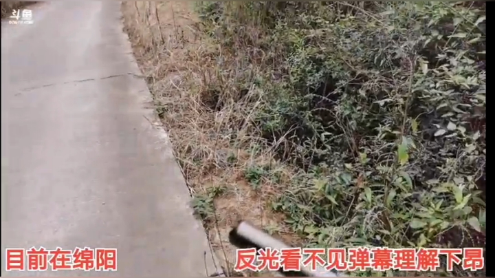 9.5风景不错