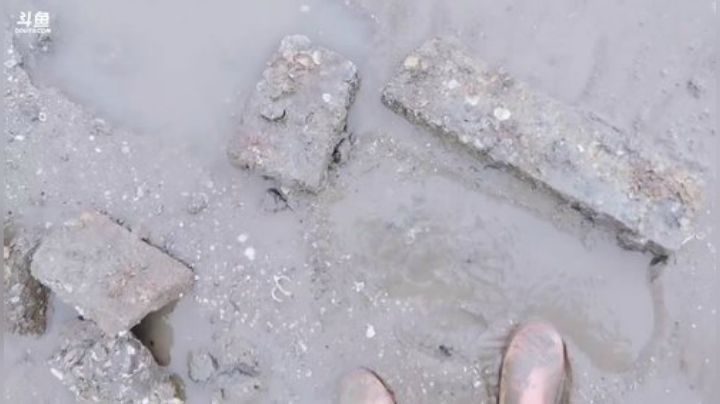 圆园团团发布了一个斗鱼视频2020-09-05