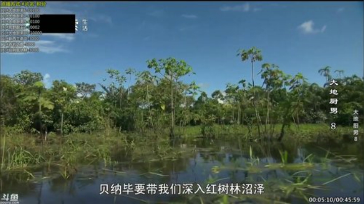 护法惊丶发布了一个斗鱼视频2020-09-05