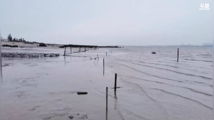 圆园团团发布了一个斗鱼视频2020-09-05