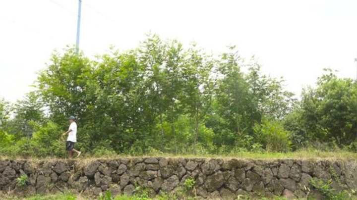 哆啦爱梦梦发布了一个斗鱼视频2020-09-05