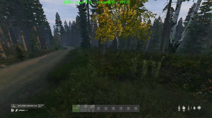 dayz (hardcore极限生存） 2020-09-05 20点场