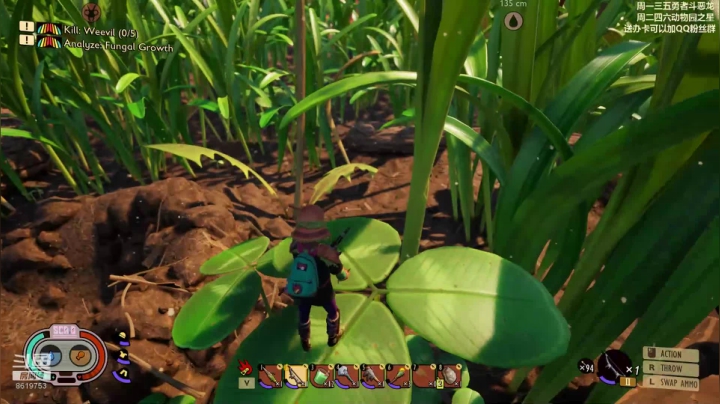 论菜我还没服过谁 2020-09-04 01点场