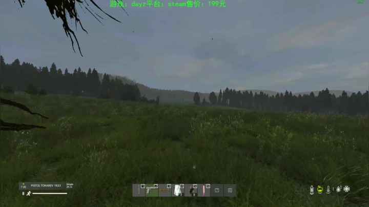 dayz (hardcore极限生存） 2020-09-07 15点场